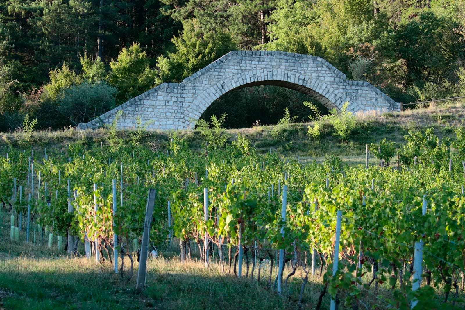 Mont July (Val-Revermont) - Image 1