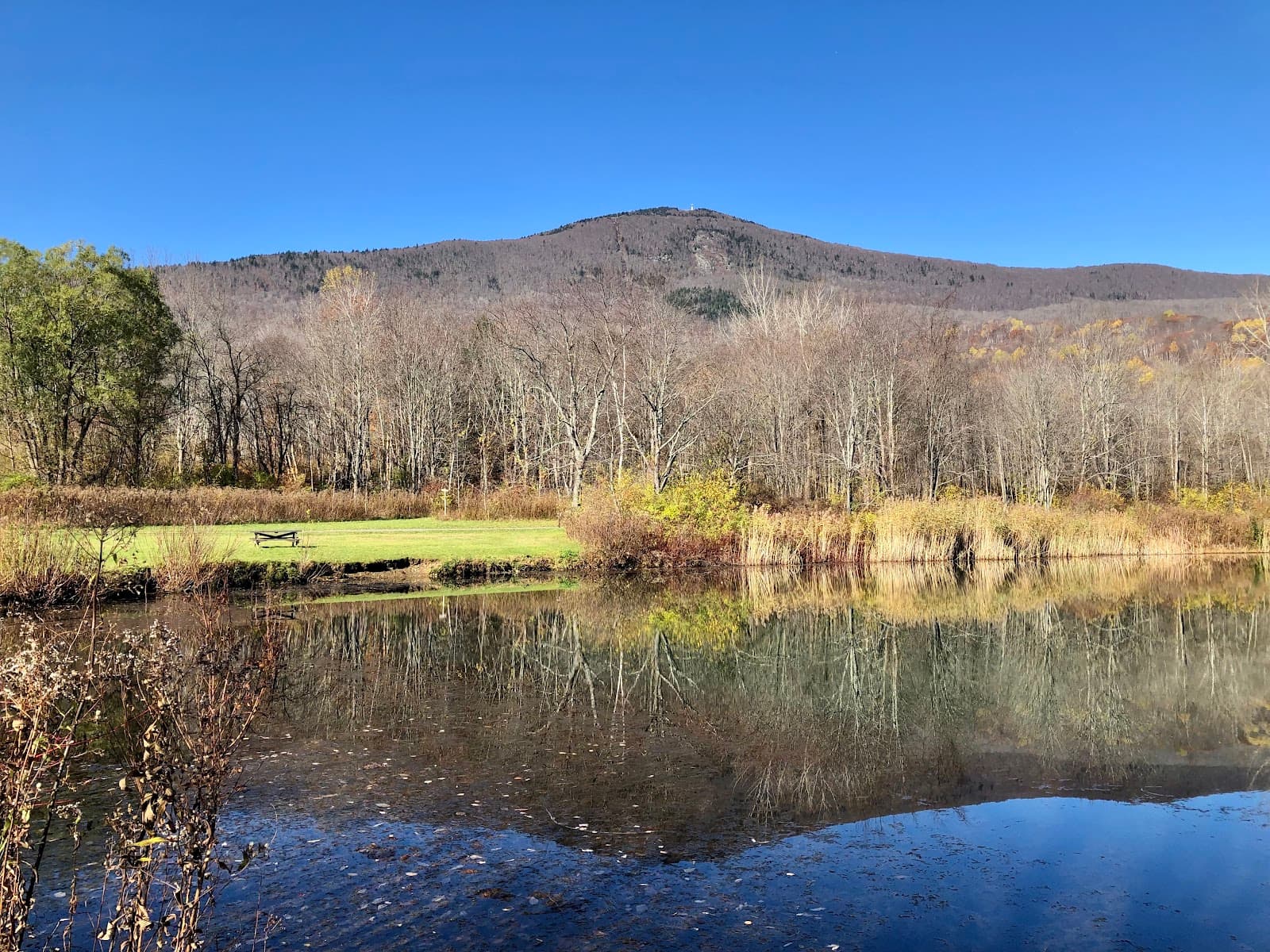 Greylock Glen - Image 1