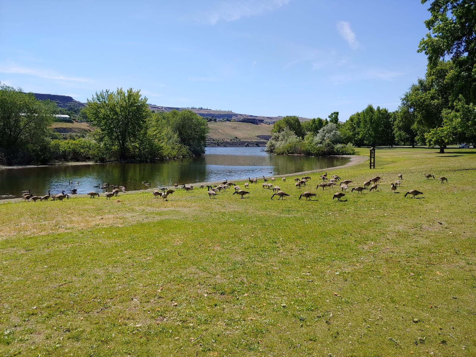 Swallows Nest Park - Image 1