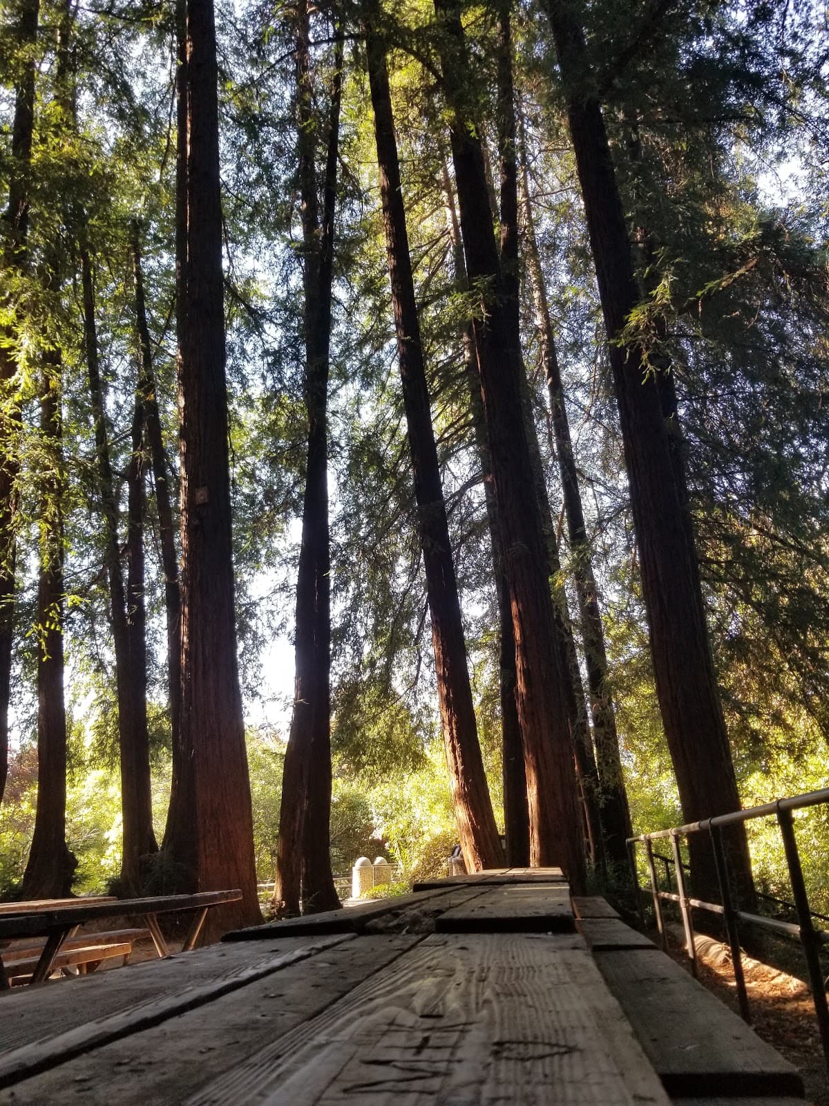 Gerstle Park Neighborhood - Image 1