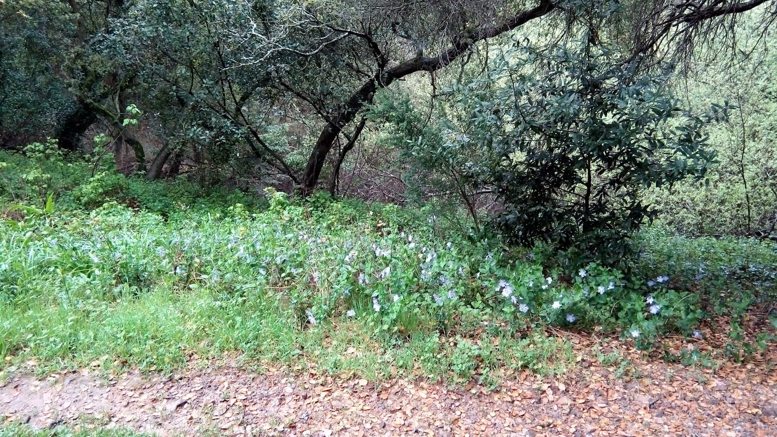 Montclair Railroad Trail - Image 1