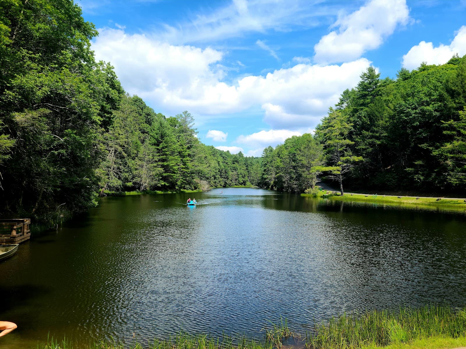 Seneca State Forest - Image 1