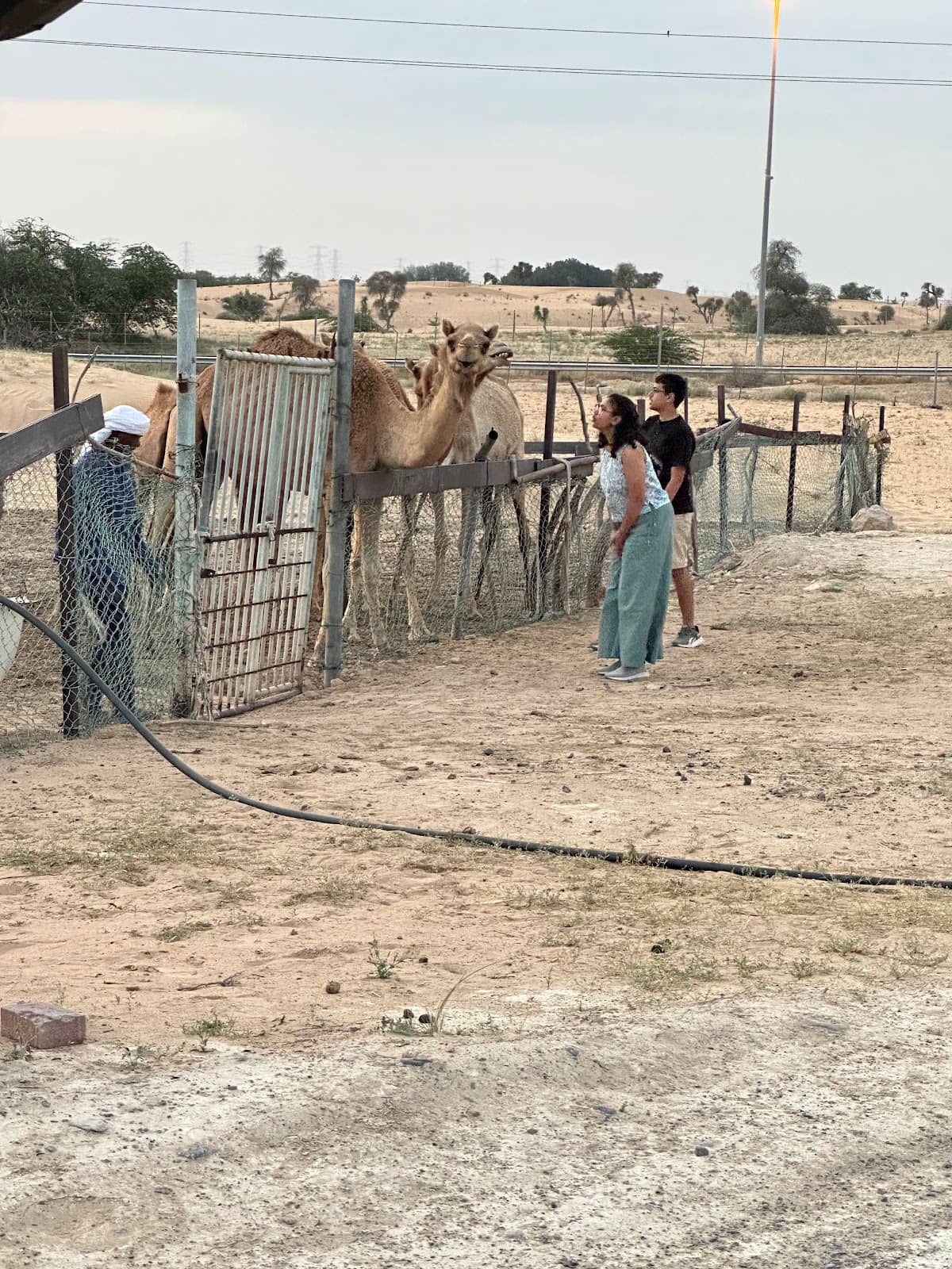 Emirati Cuisine Tasting