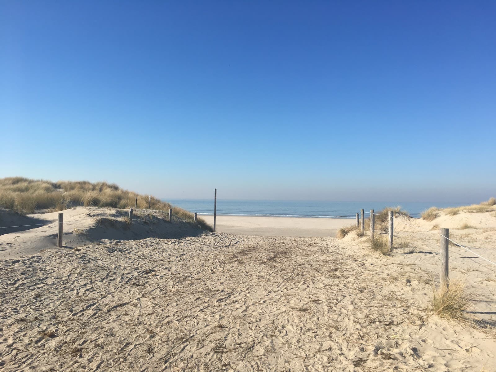 Eierlandse Duinen - Image 1