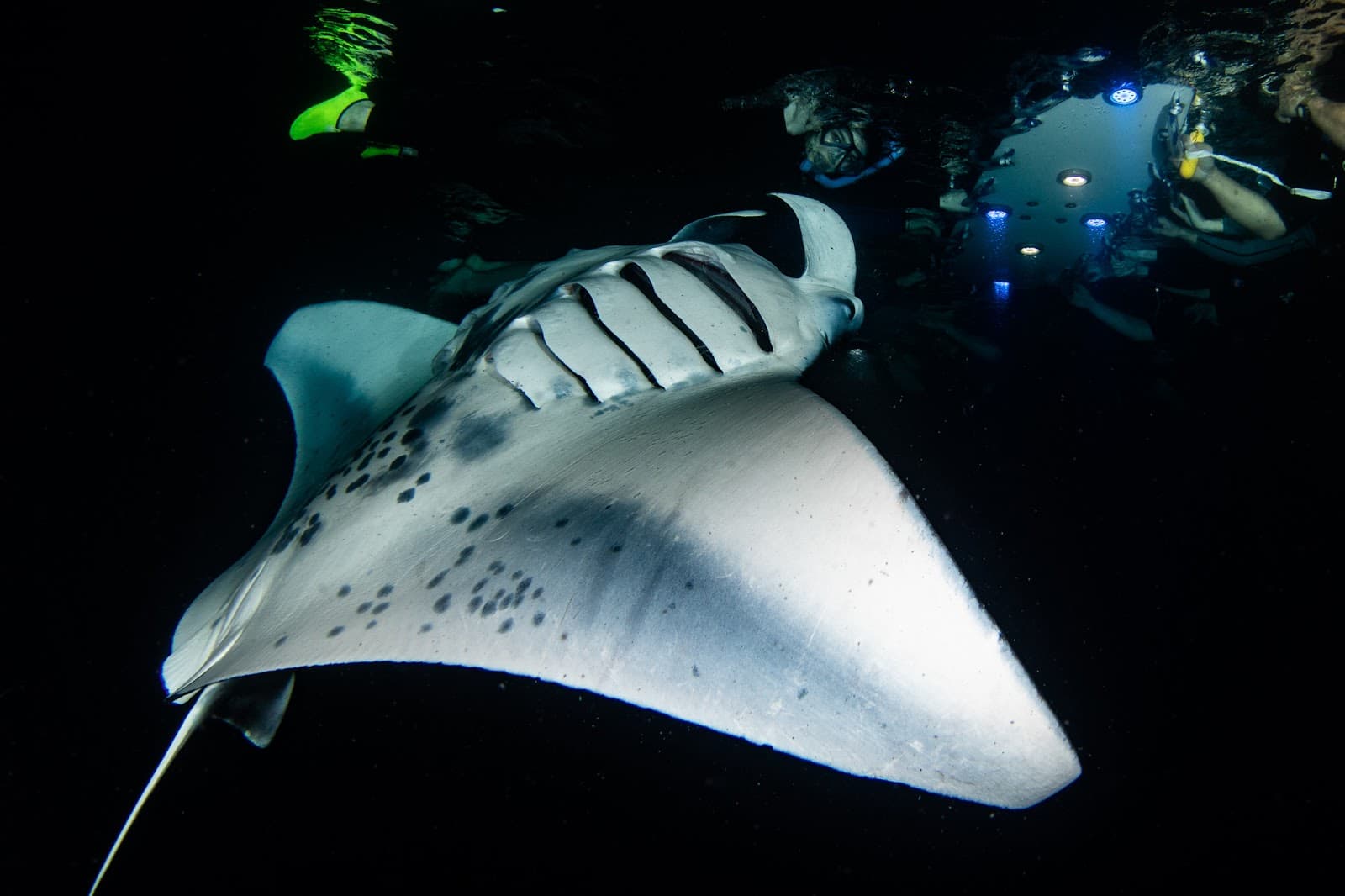 Manta Village Keauhou - Image 1