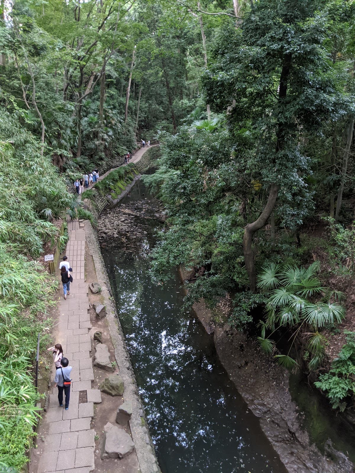 Todoroki Japan - Image 1
