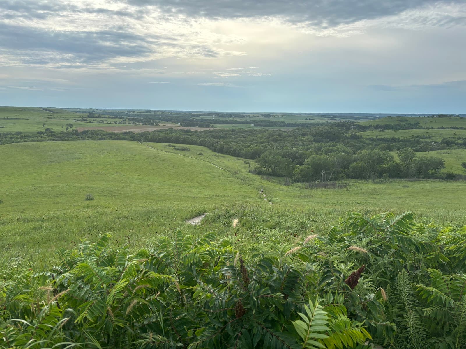 Konza Prairie Trails - Image 1