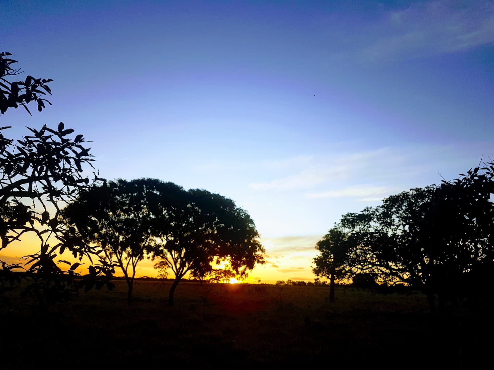 Estação Ecológica de Águas Emendadas - Image 1
