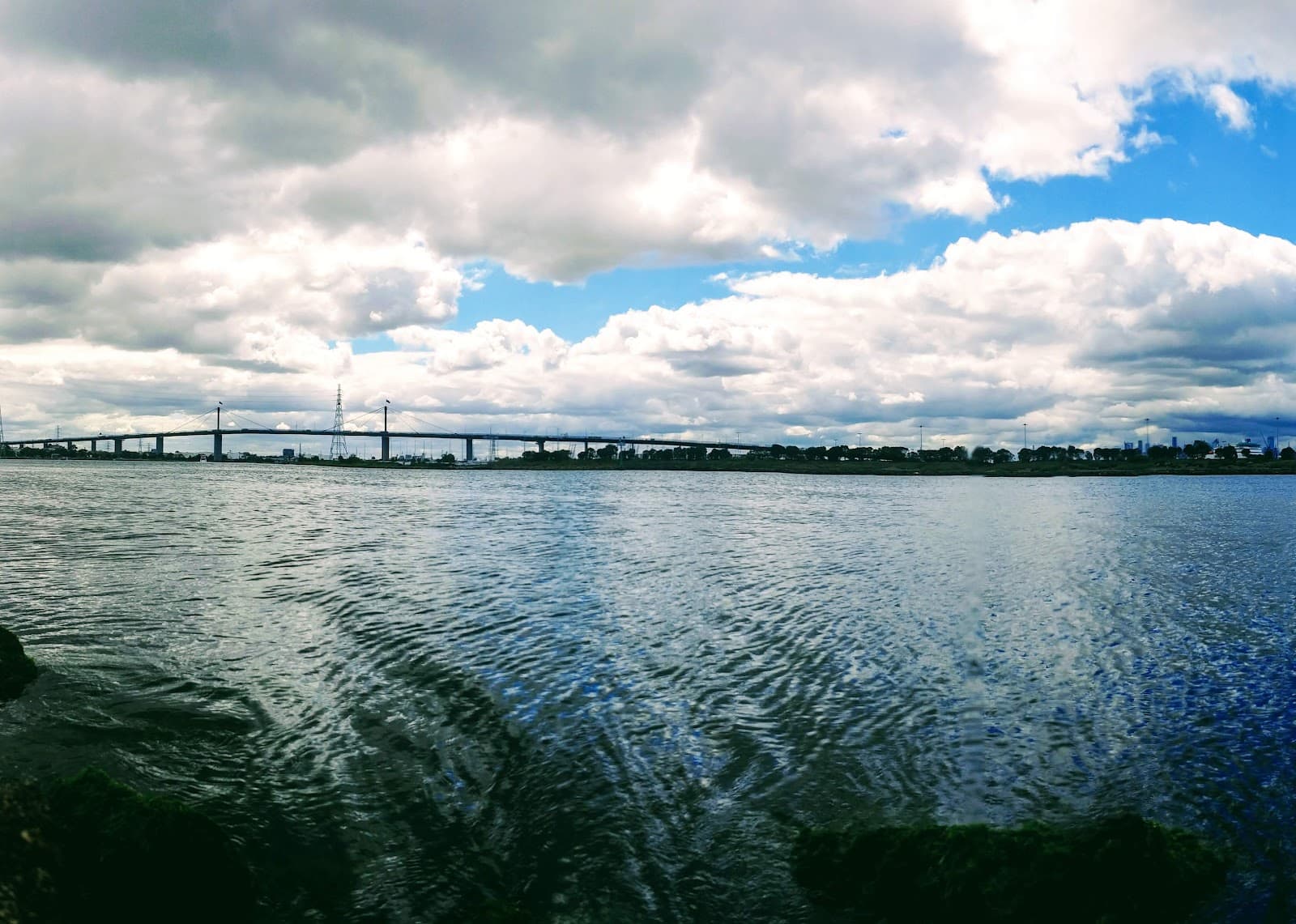 The Warmies (Newport) - Image 1