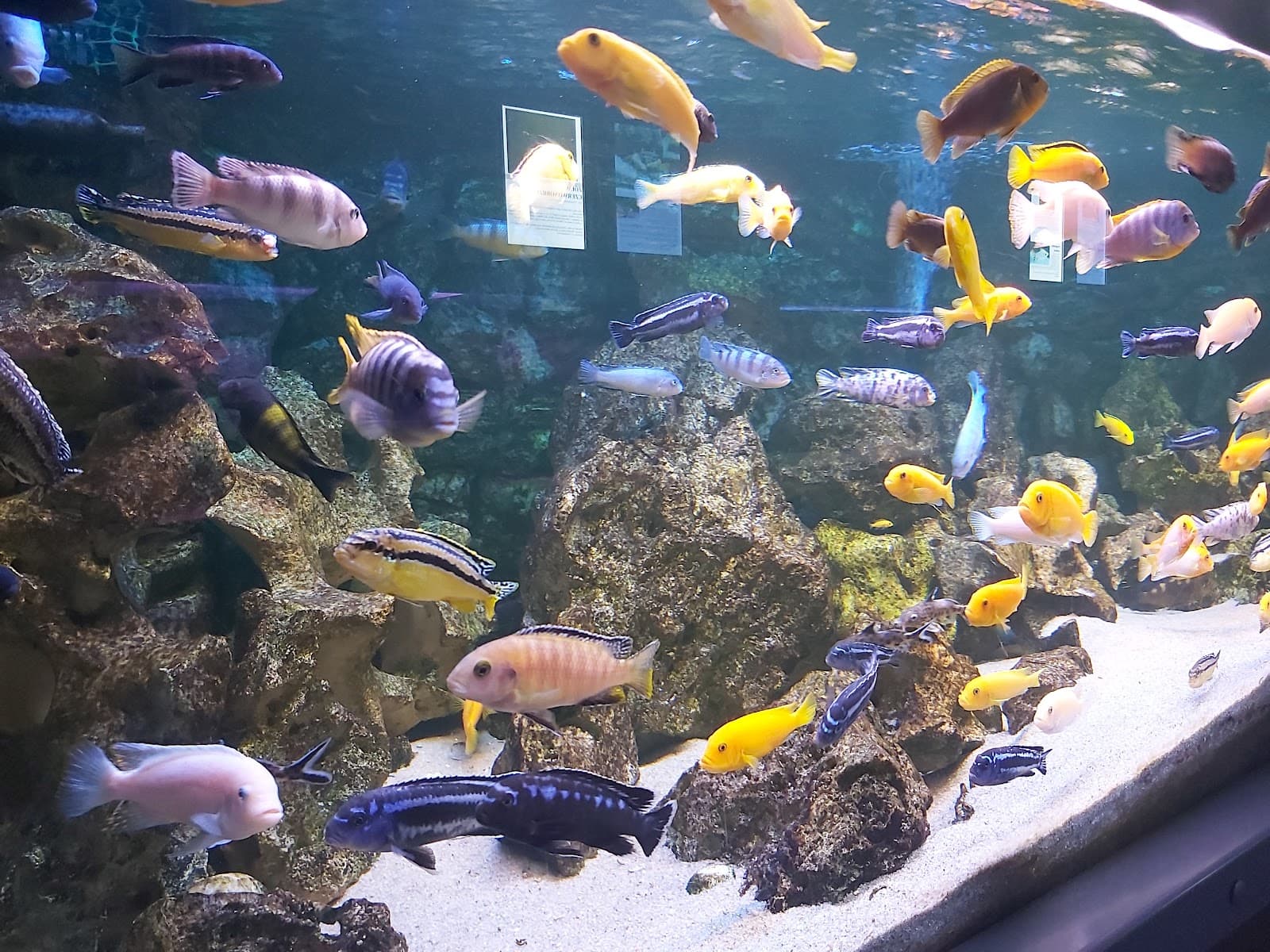 Kołobrzeg Oceanarium - Image 1