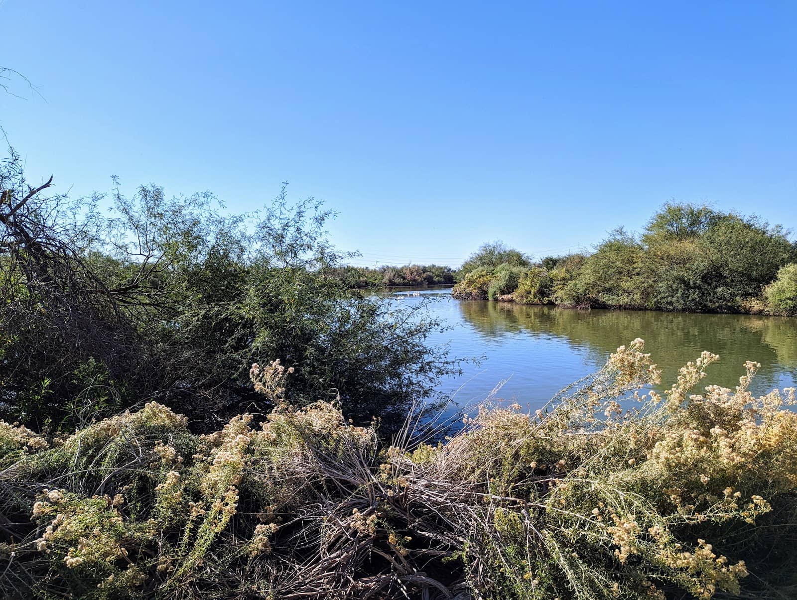 Informative Presentations