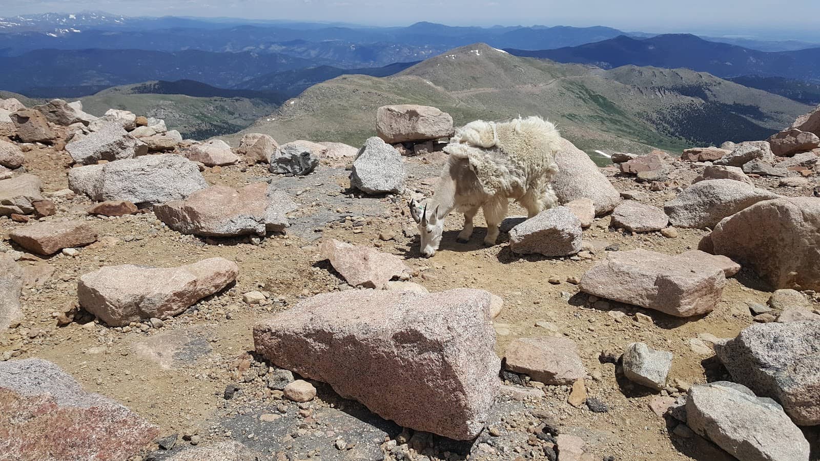 Mount Goliath & Summit Lake