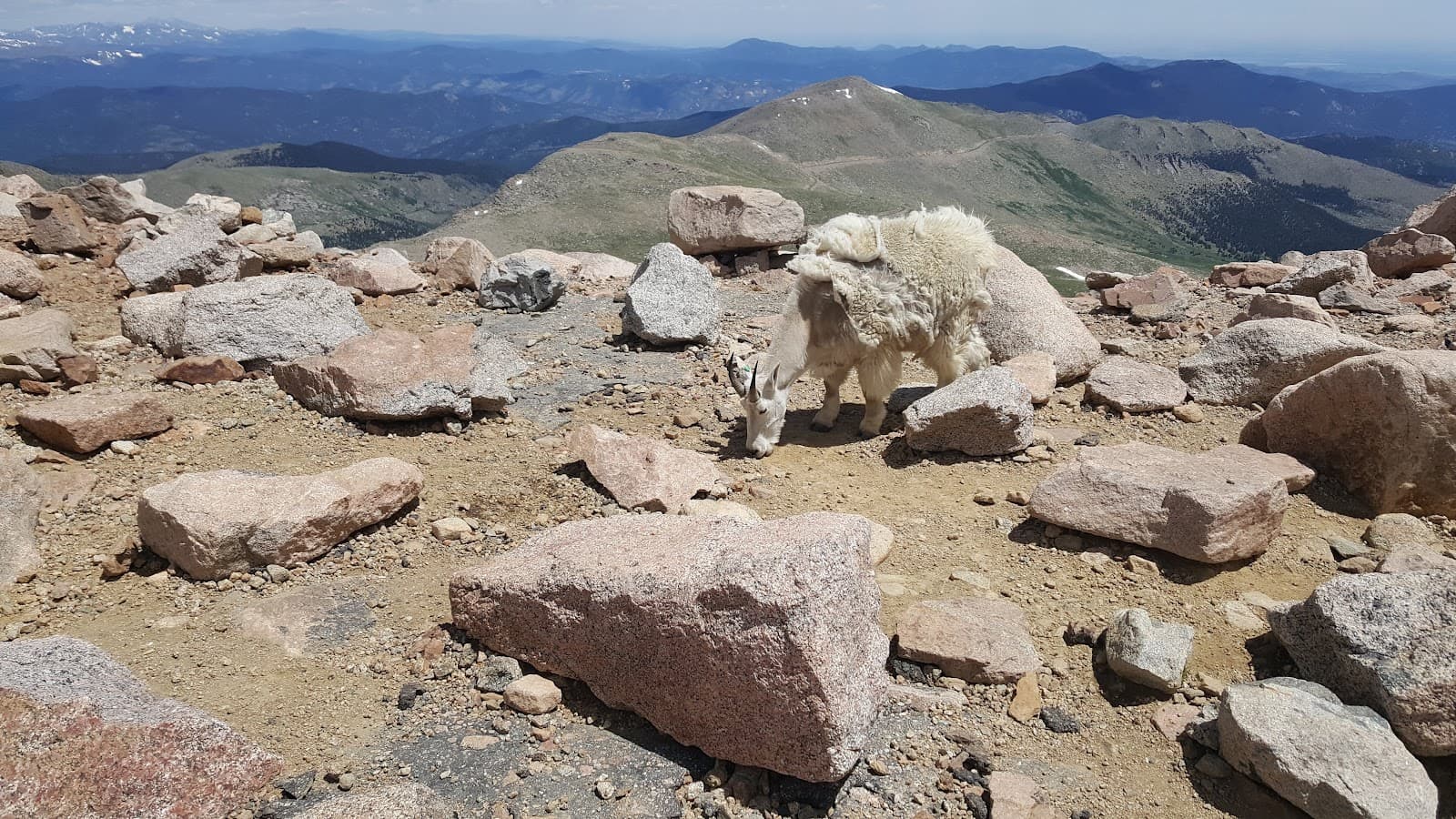 Mount Blue Sky Summit - Image 1