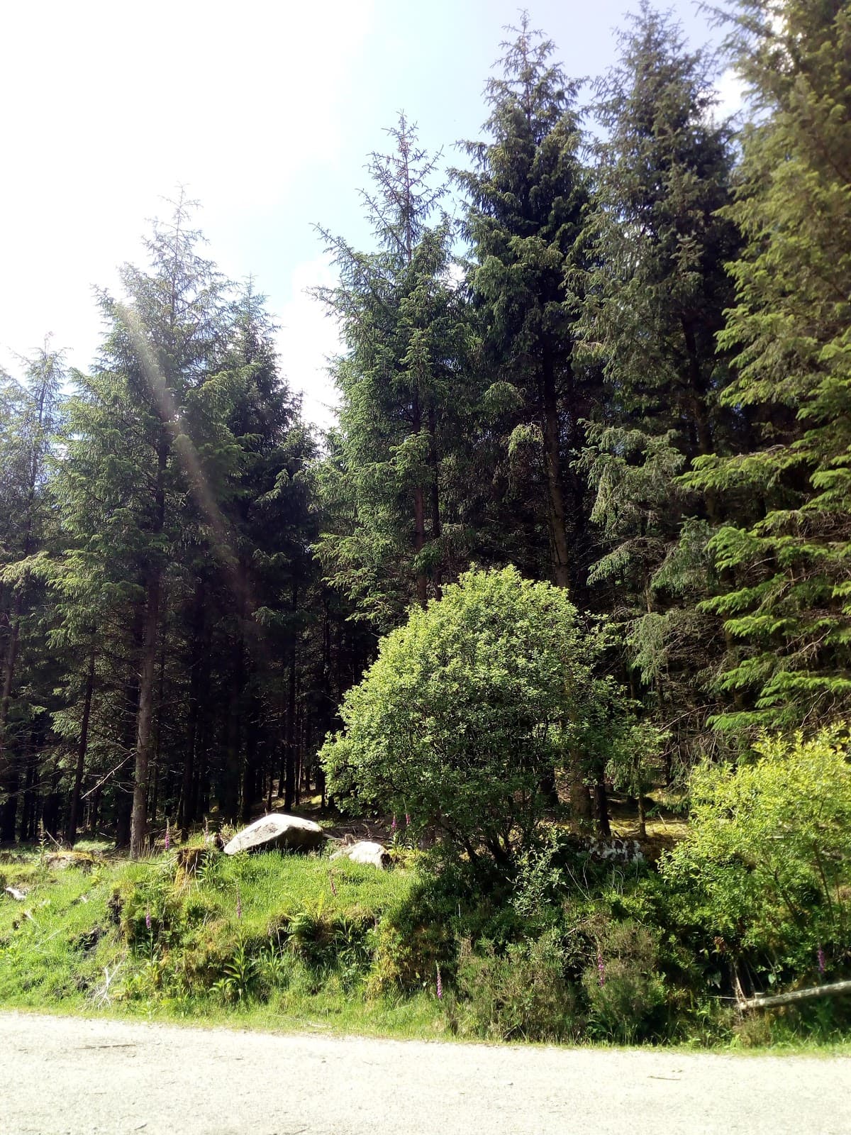 Dartmoor Way - Image 1