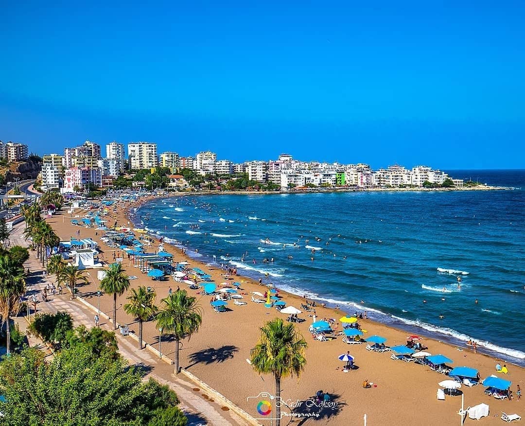 Delicious Street Food