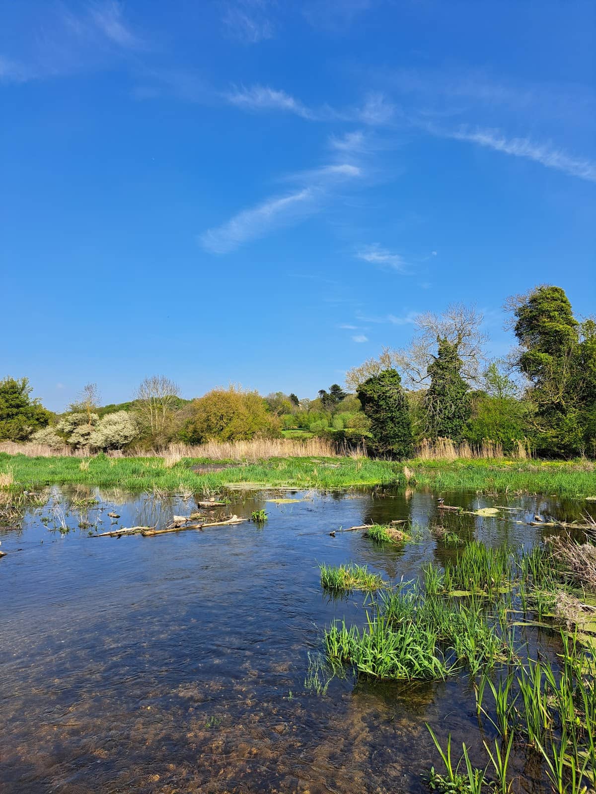 Spacious Picnic Meadows