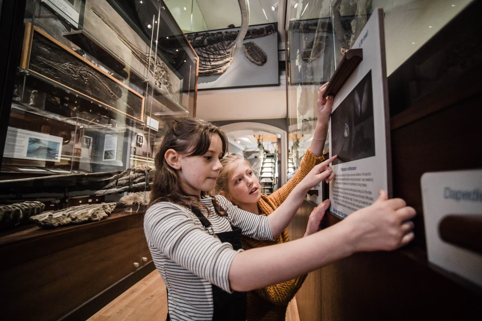 Lyme Regis Museum - Image 1