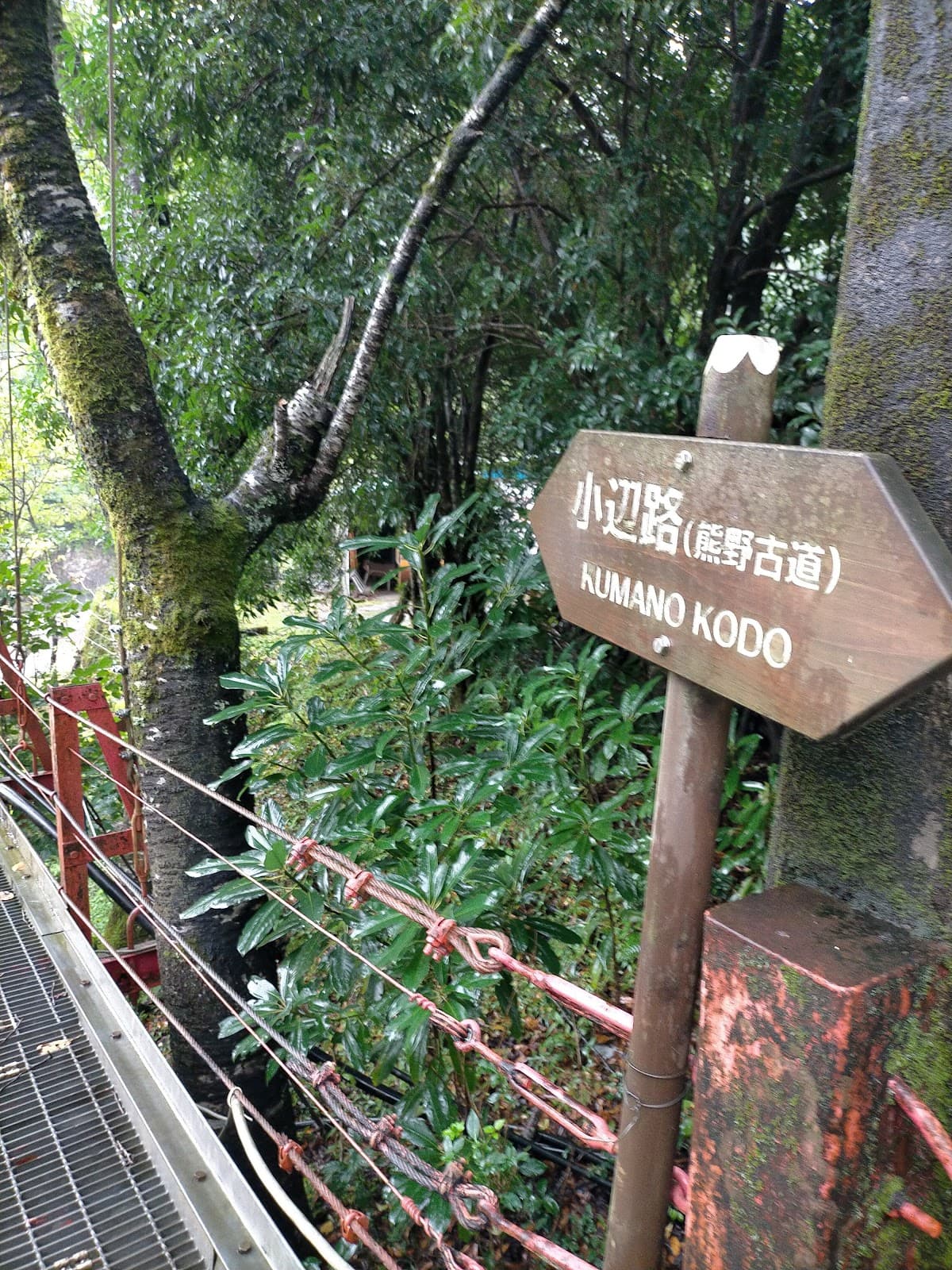 Kumano Kodo - Kohechi Route - Image 1