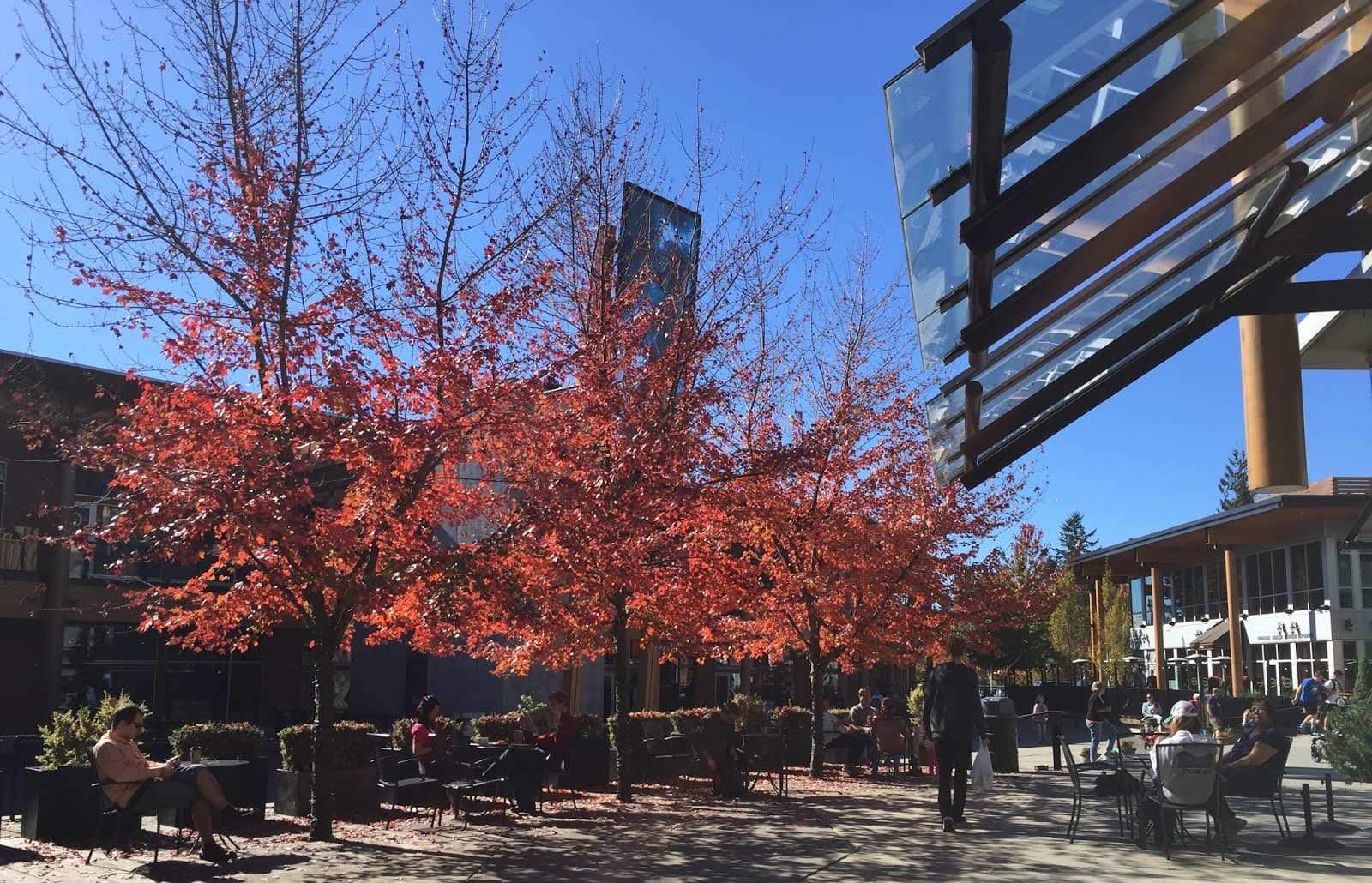 Lynn Valley Village - Image 1