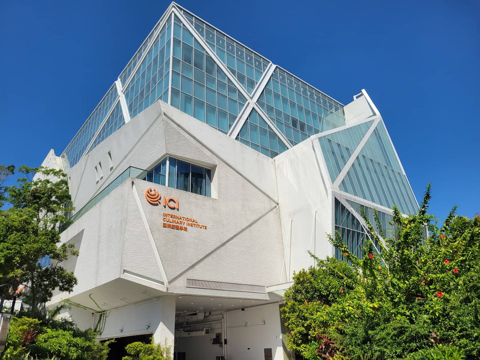 Networking Opportunities