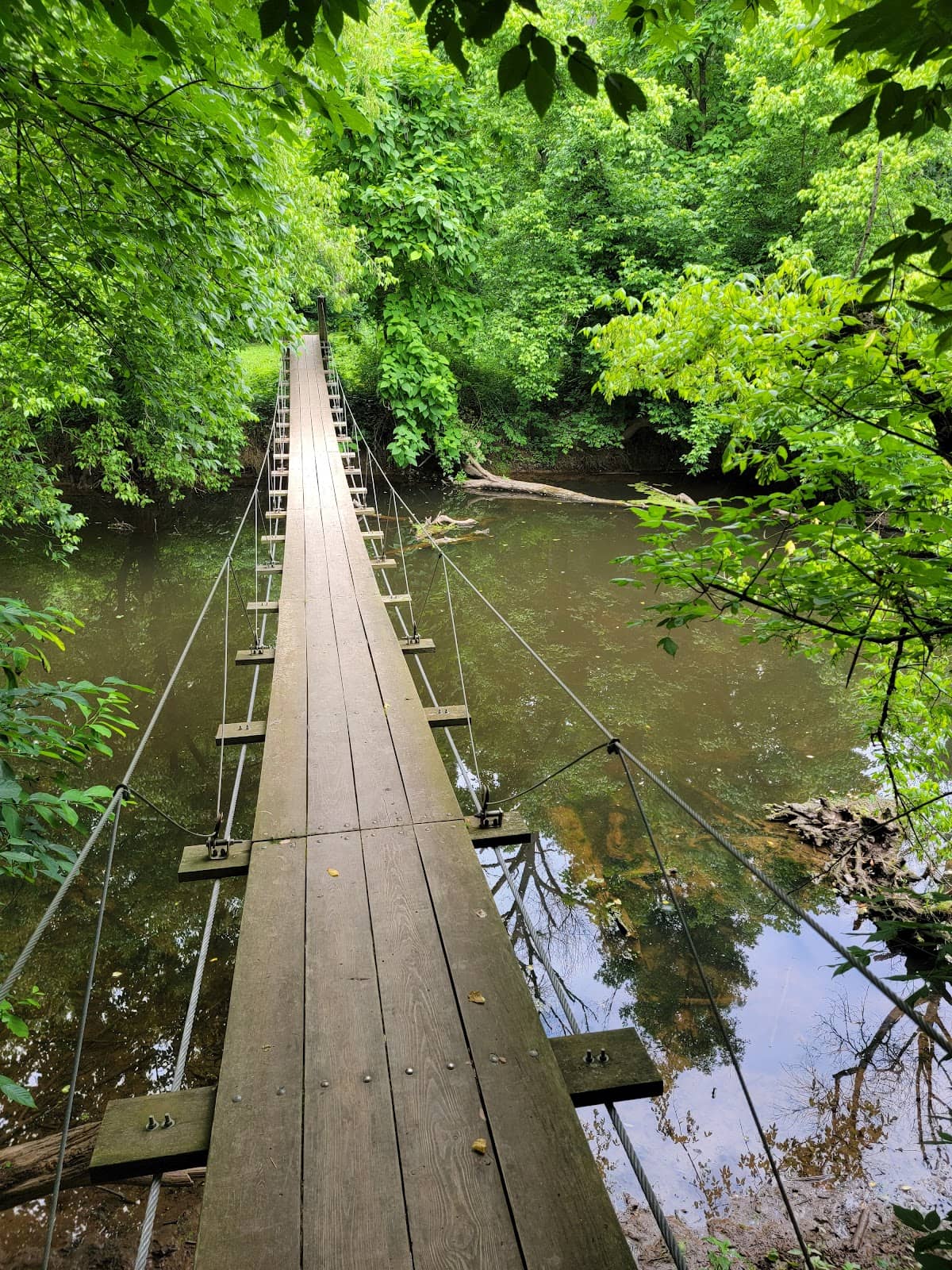 Serene Walking Trails