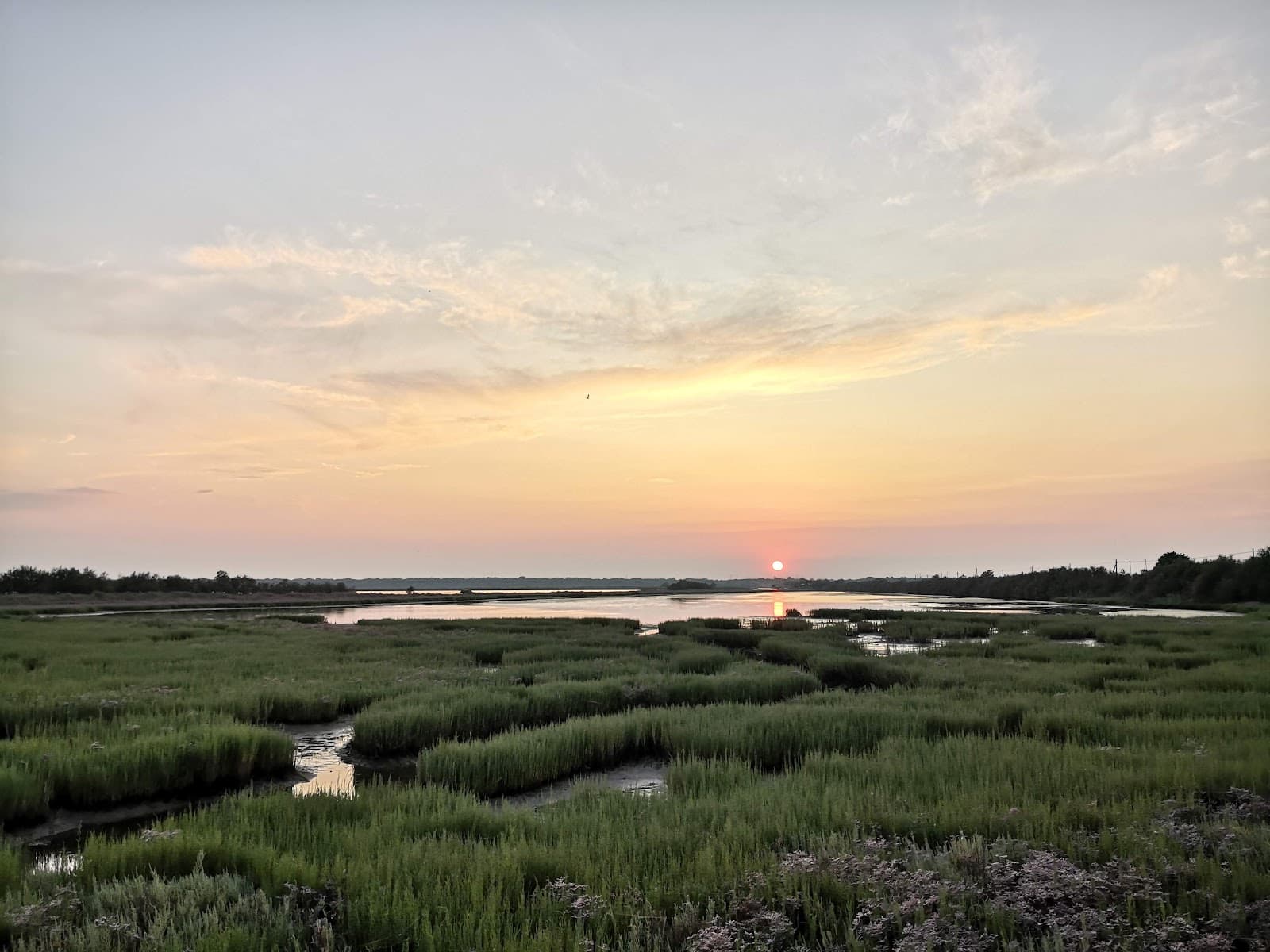 Pialassa Baiona Lagoon - Image 1