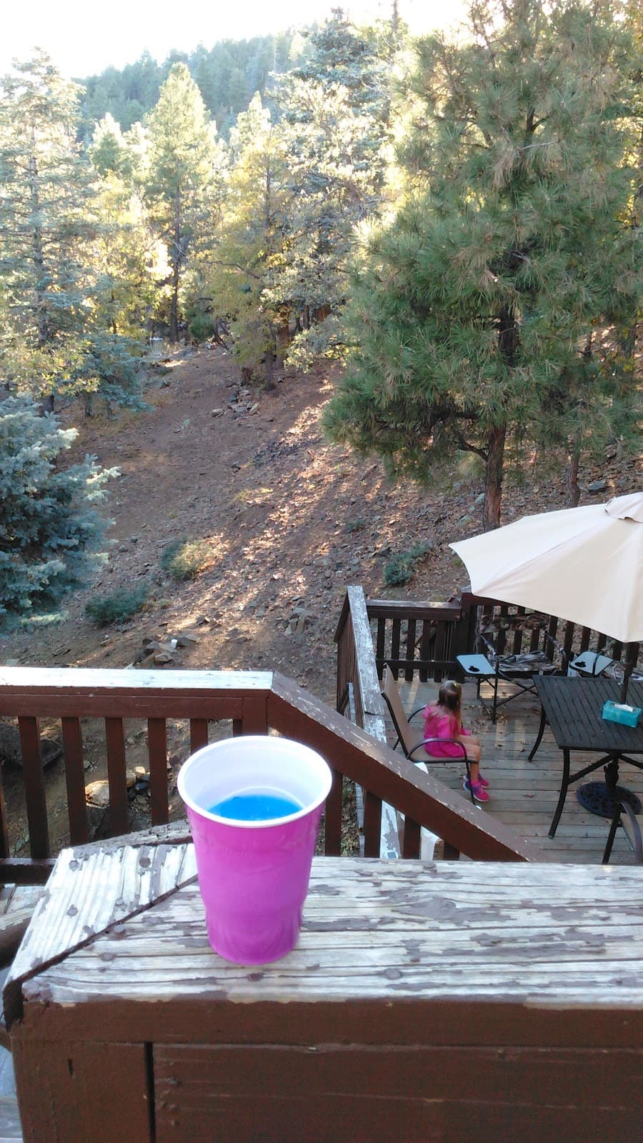 Spruce Mountain Lookout - Image 1