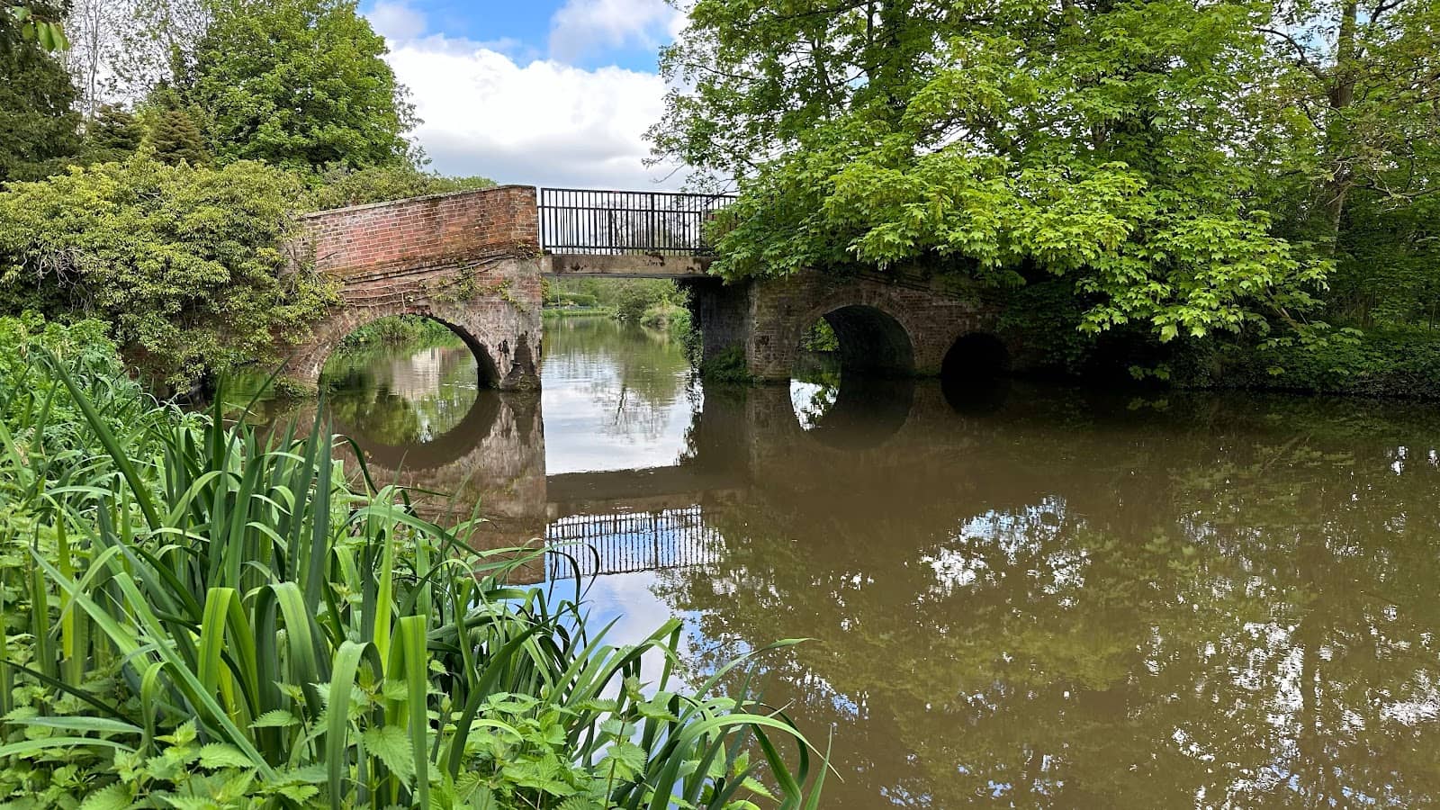 Paddleboarding Launch Point
