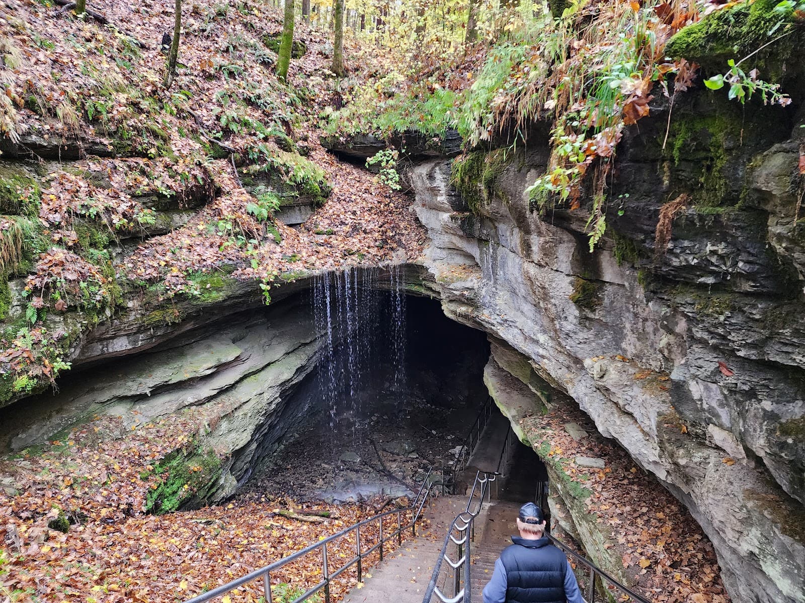 Mammoth Cave Historic Entrance & Sunset Point - Image 1
