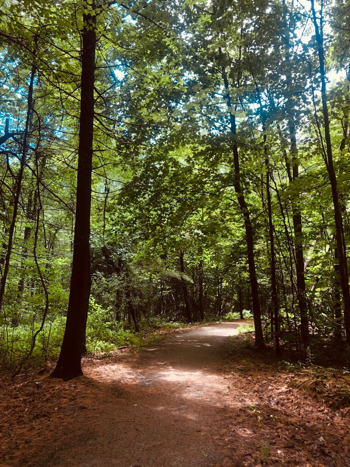 Sewall Woods Conservation Area - Image 1