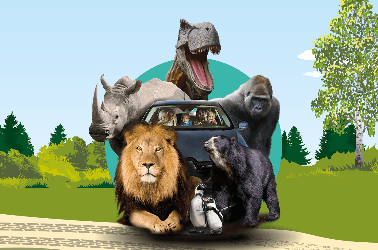 Impressive Gorillas & Rhinos