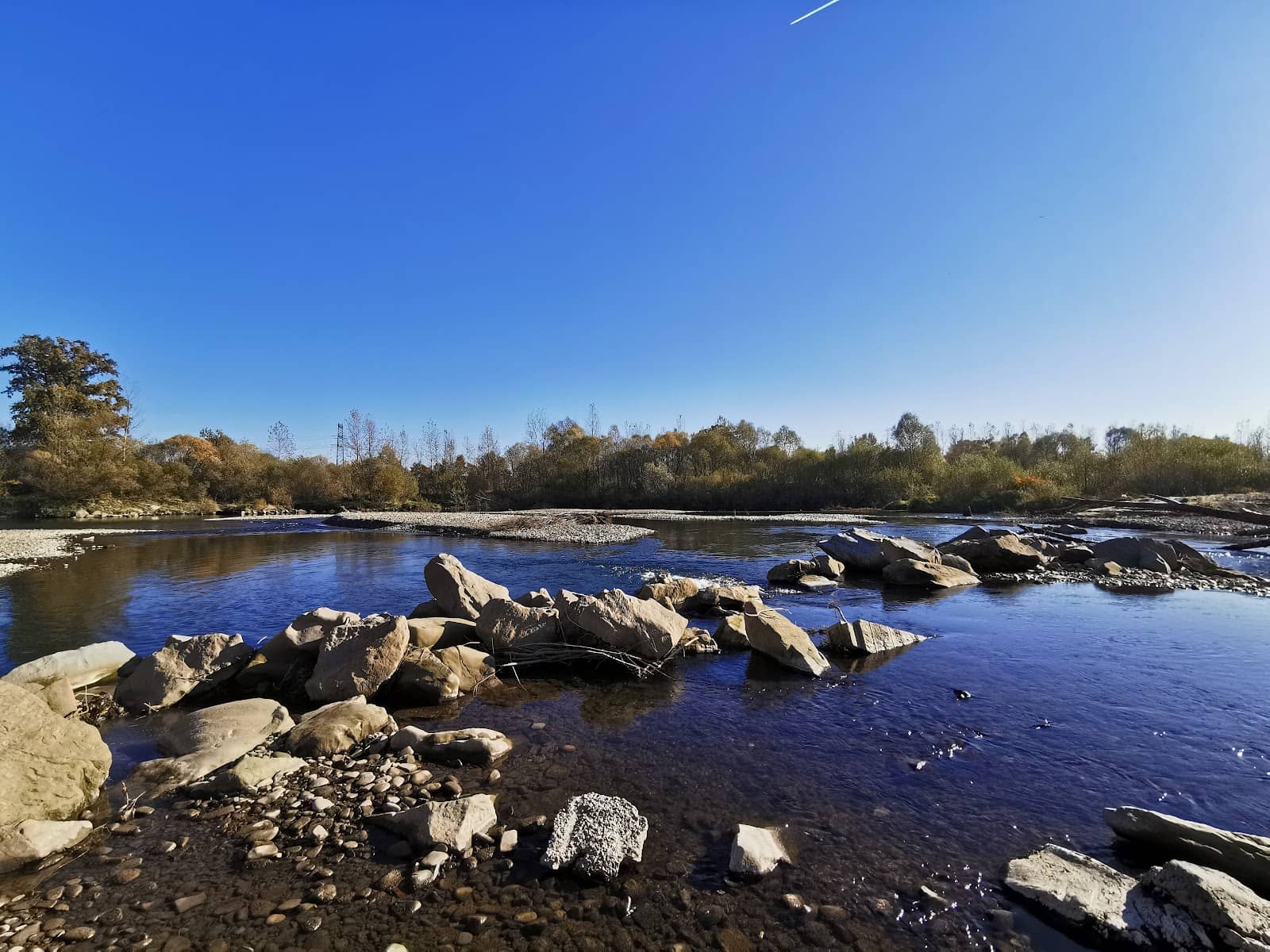 Vibrant and Welcoming Atmosphere