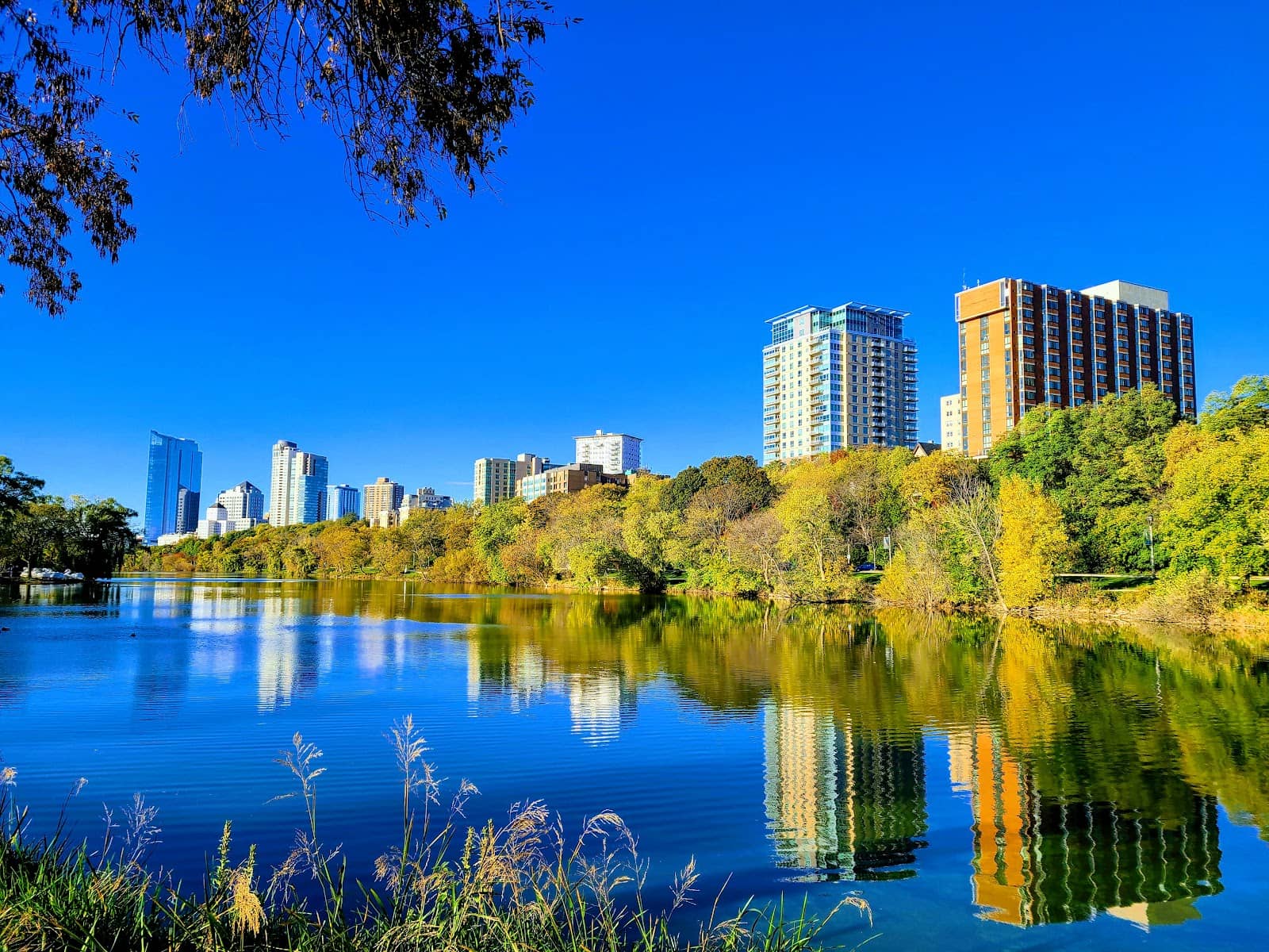 Lagoon and Paddle Boats