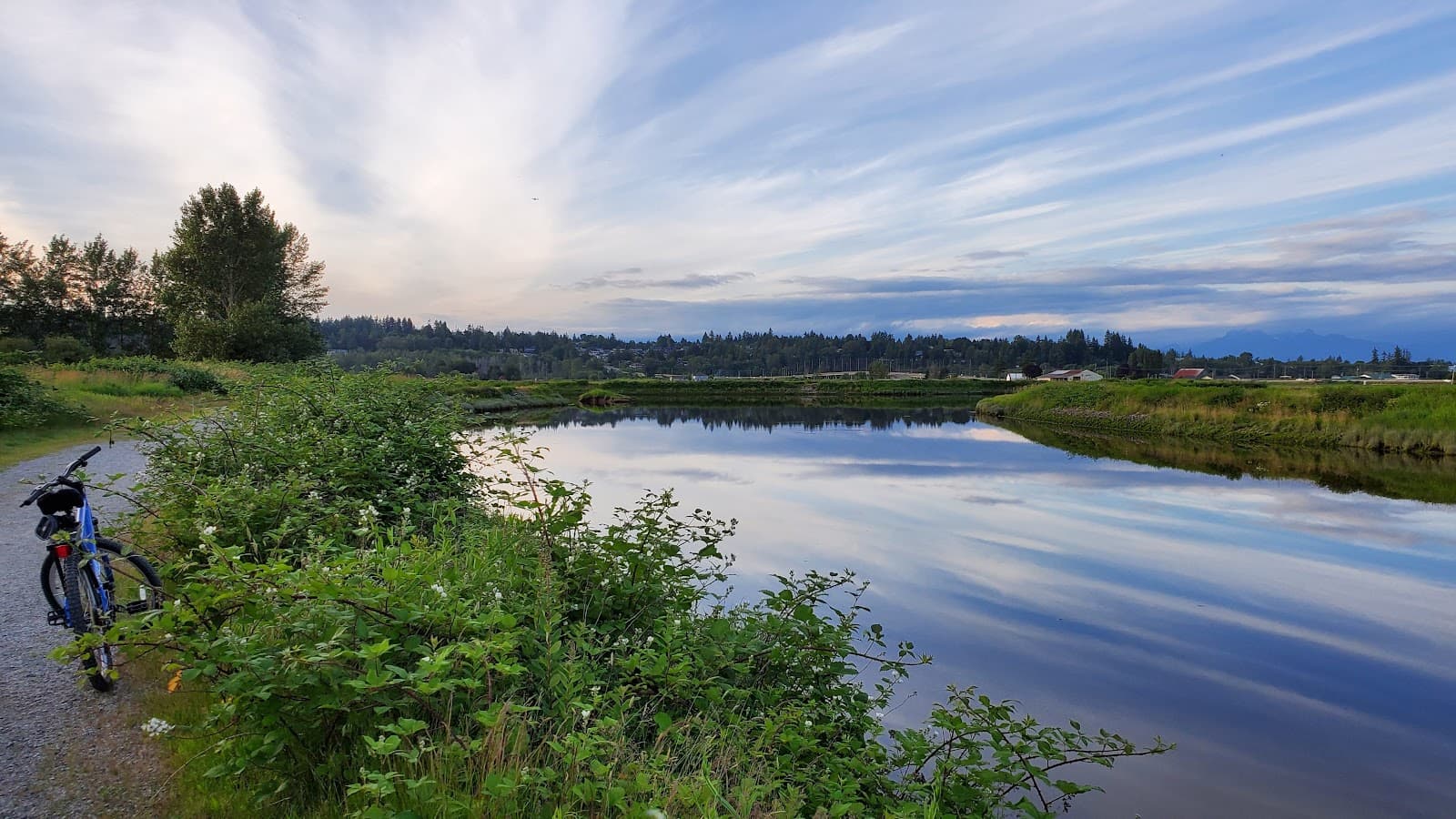 Serpentine Fen Nature Reserve - Image 1