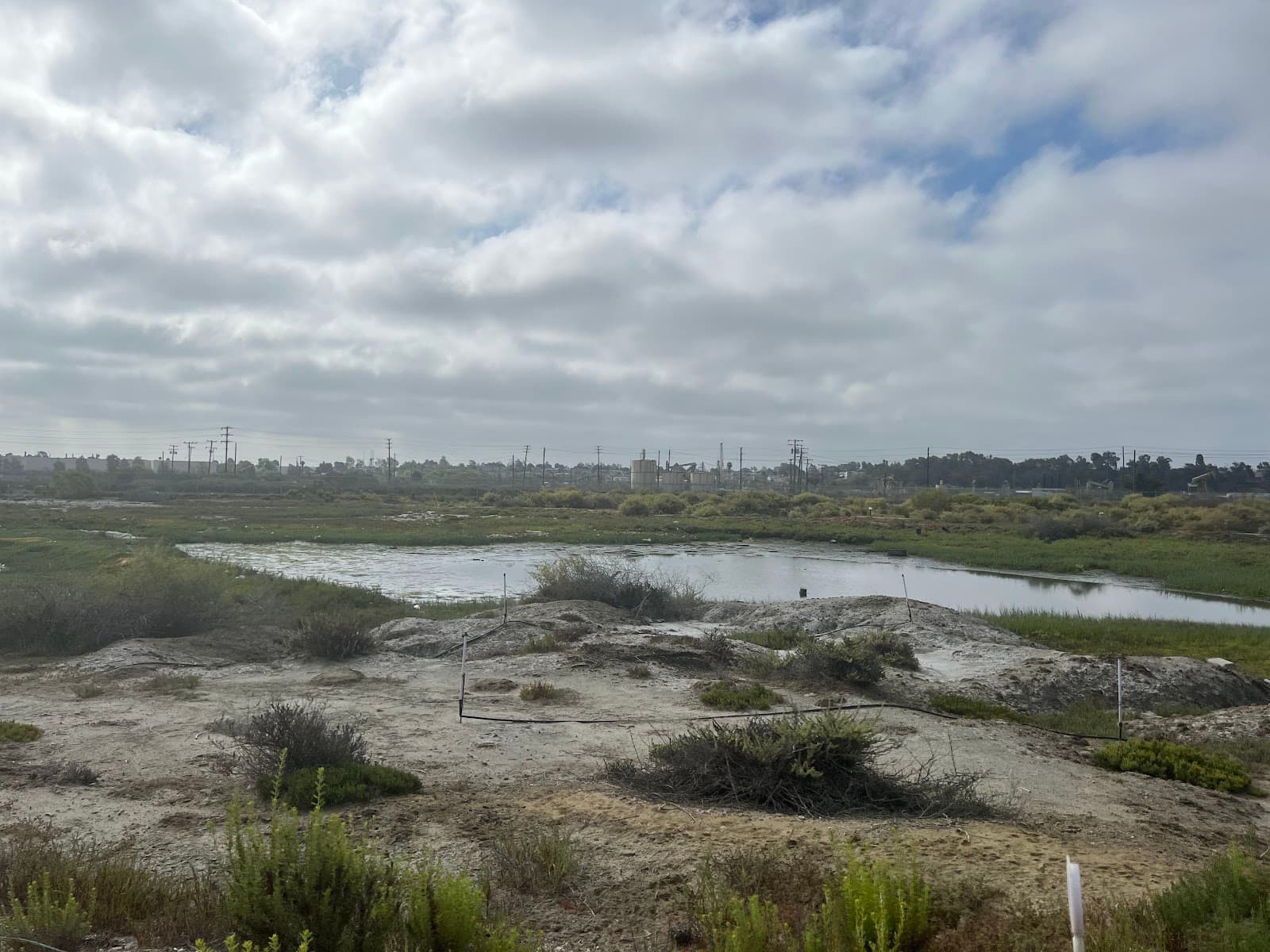 Los Cerritos Wetlands Long Beach - Image 1