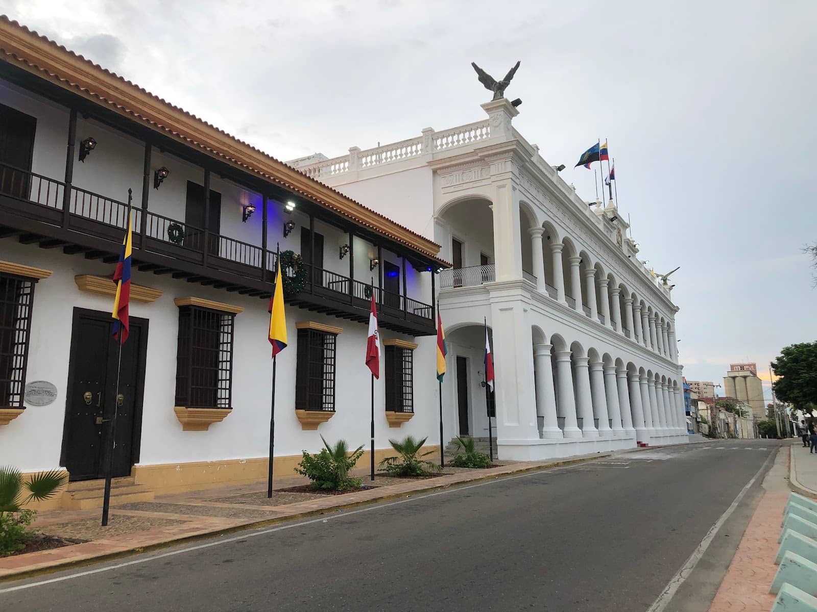 Local Artist Spotlights