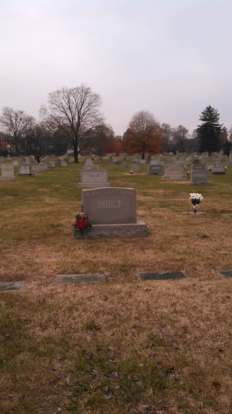 Scenic Walking Paths