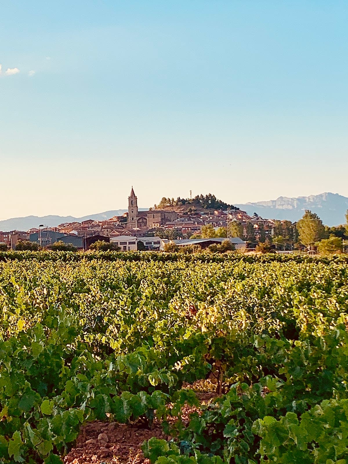 Navarrete La Rioja - Image 1