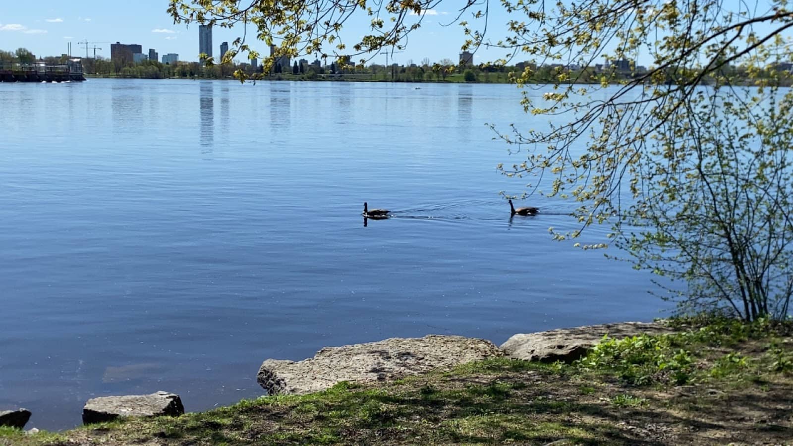 Carbide Willson Ruins