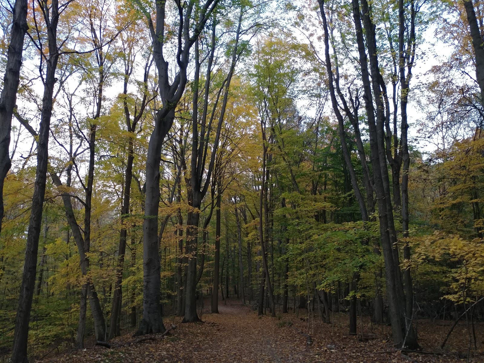 Burchfield Park - Image 1