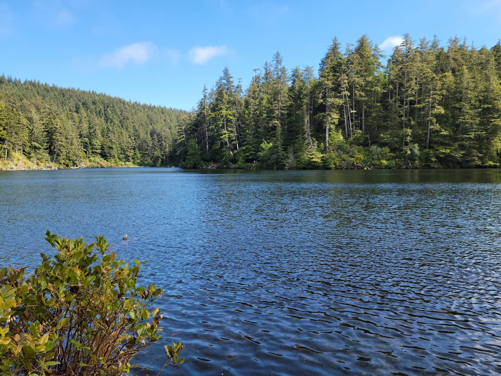 Dune Hikes & Ocean Views