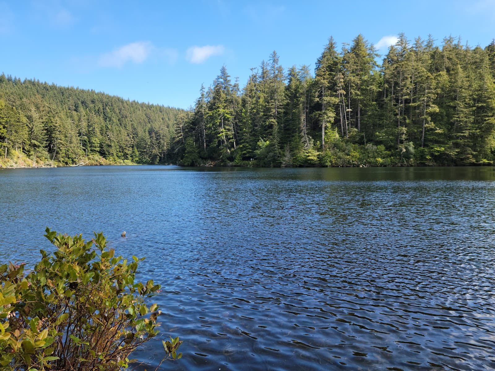 Umpqua Lighthouse State Park - Image 1