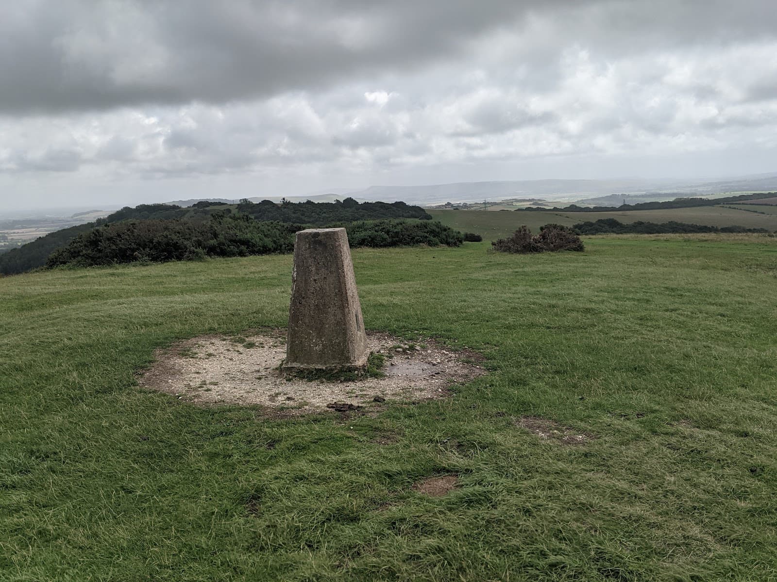 Blackcap West Sussex - Image 1