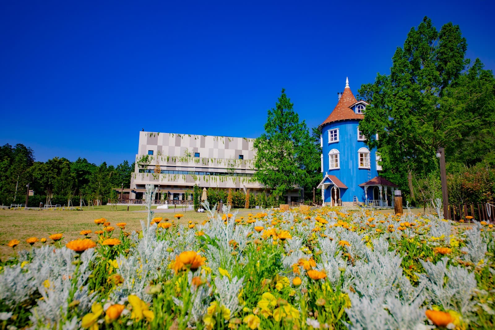 Moominvalley Park - Image 1