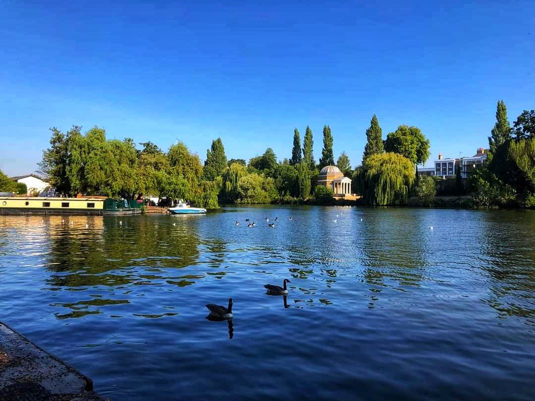 Hurst Park (Molesey) - Image 1