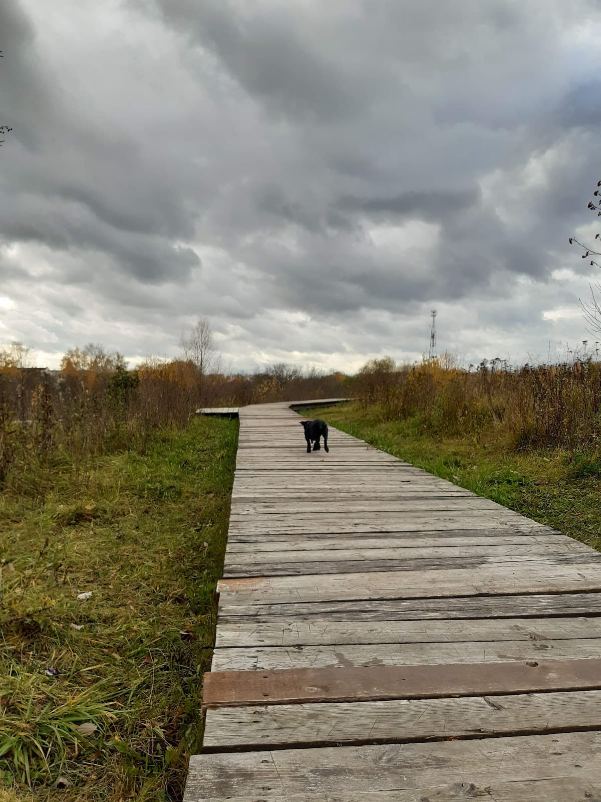 Skhodnya River Park - Image 1