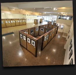 Local Artist Showcases