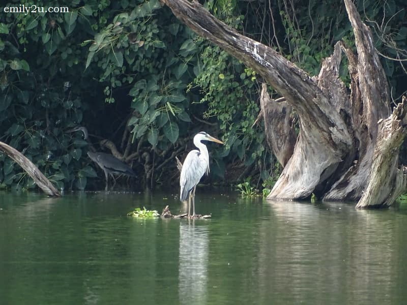 Kinta Nature Park - Image 1