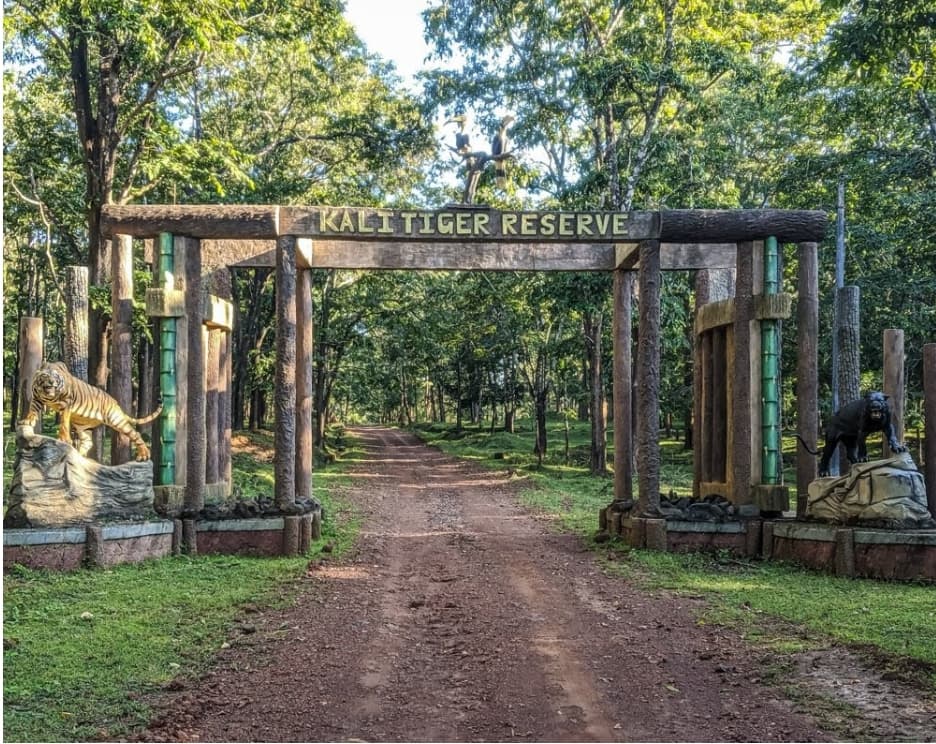 Dandeli Wildlife Sanctuary (Kali Tiger Reserve) - Image 1