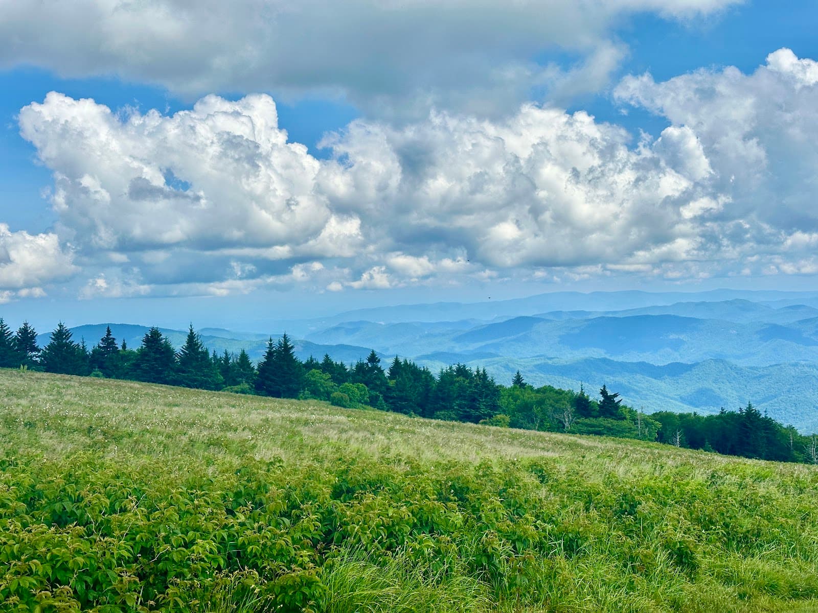 Carvers Gap - Image 1